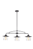 3 Light Glass Shade Chandelier
