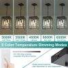 Outdoor LED Pendant Light Fixtures for Porch,4 Light 5CCT Outdoor Pendant Light,Black LED Integrated Bulbs Hanging Lantern