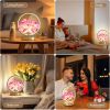 Birthday Gifts for Women Mom,Hydrangeas Flower Touch Lamp,Rechargeable Cordless 3 Way Dimmable Small Night Light for Home Decor,Bedroom